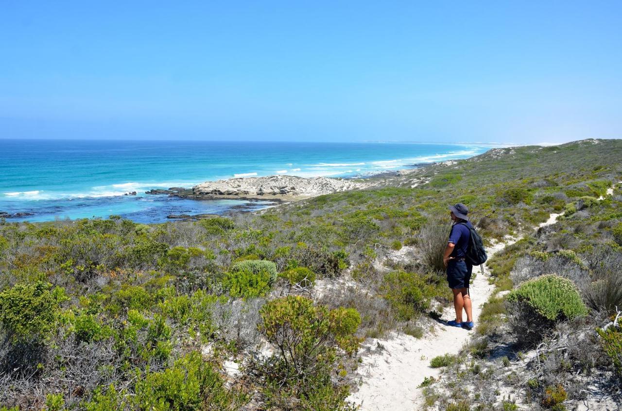 Morukuru Beach Lodge De Hoop Nature Reserve Kültér fotó