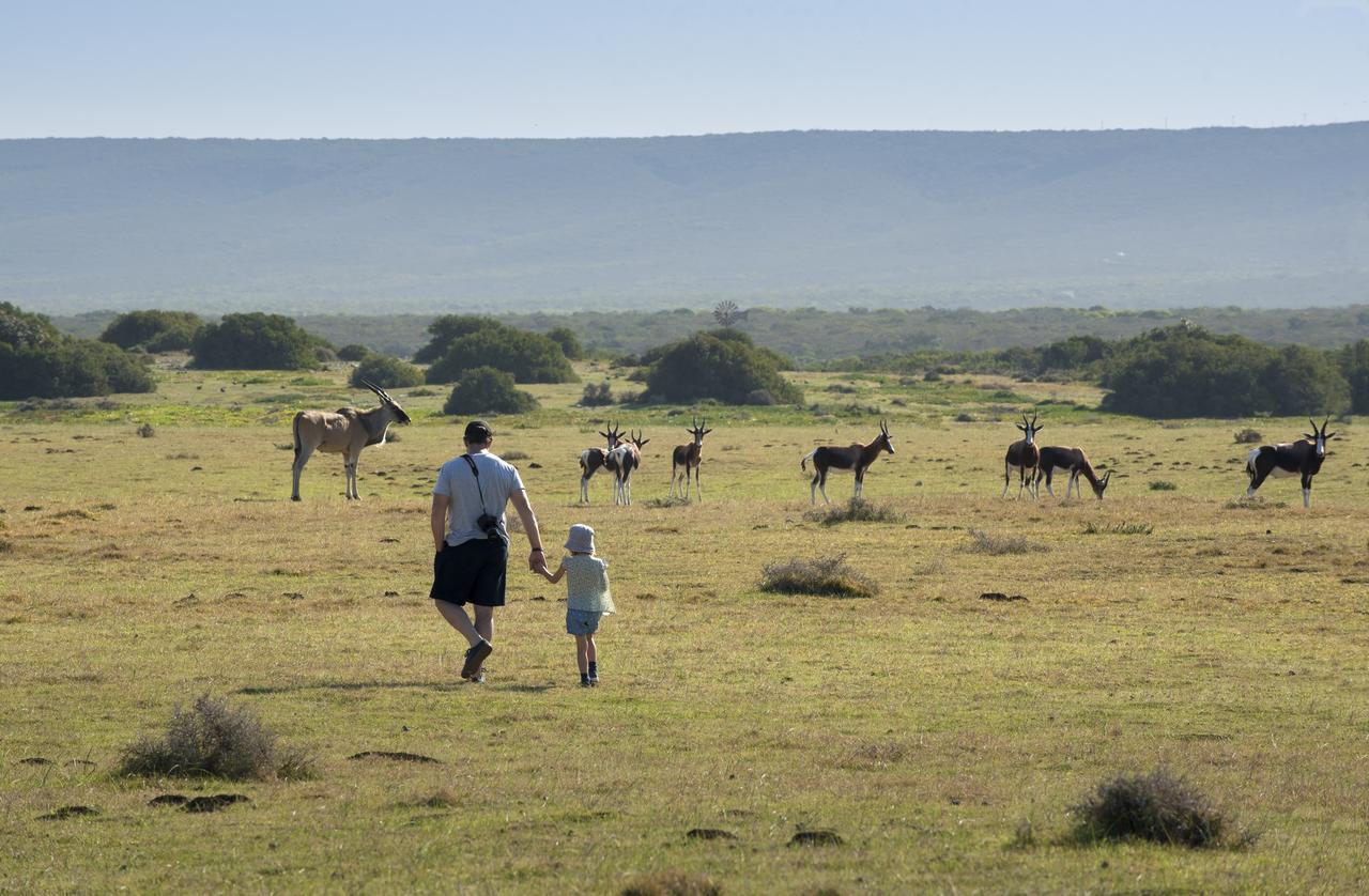 Morukuru Beach Lodge De Hoop Nature Reserve Kültér fotó