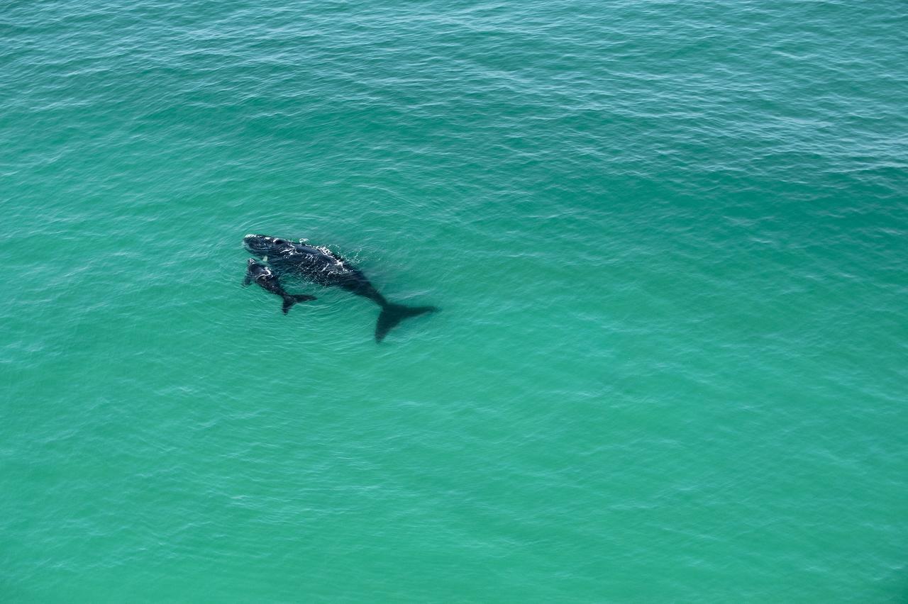 Morukuru Beach Lodge De Hoop Nature Reserve Kültér fotó